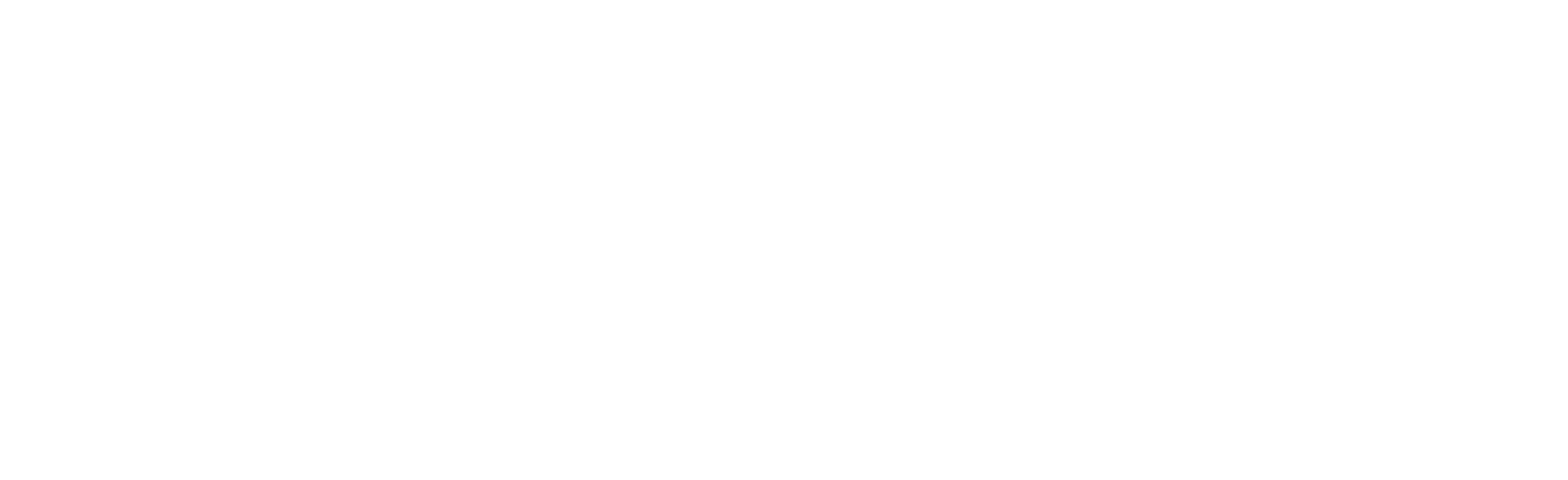 VANDEN BORRElogo